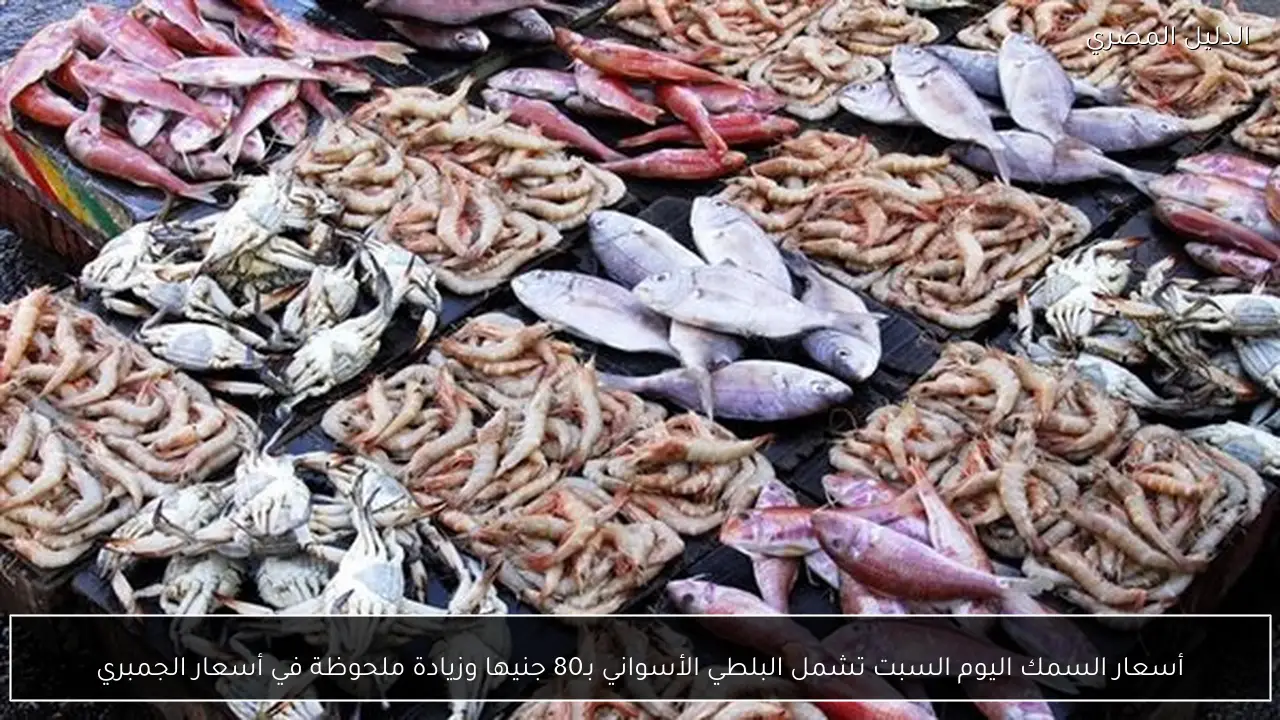 أسعار السمك اليوم السبت تشمل البلطي الأسواني بـ80 جنيها وزيادة ملحوظة في أسعار الجمبري