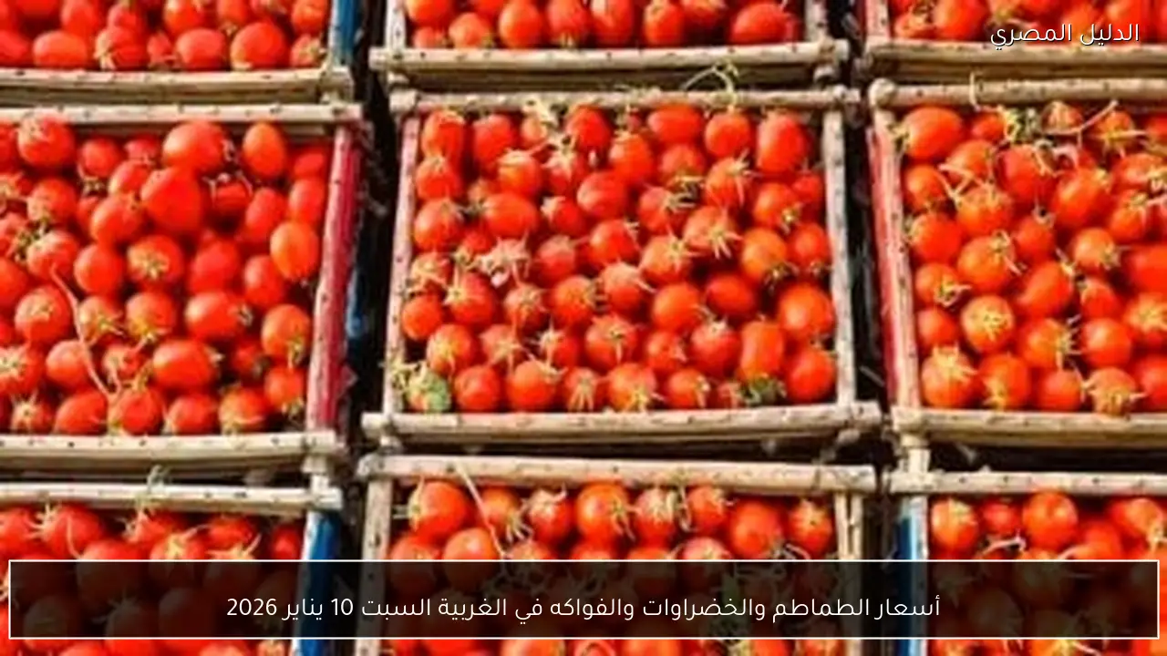 أسعار الطماطم والخضراوات والفواكه في الغربية السبت 10 يناير 2026