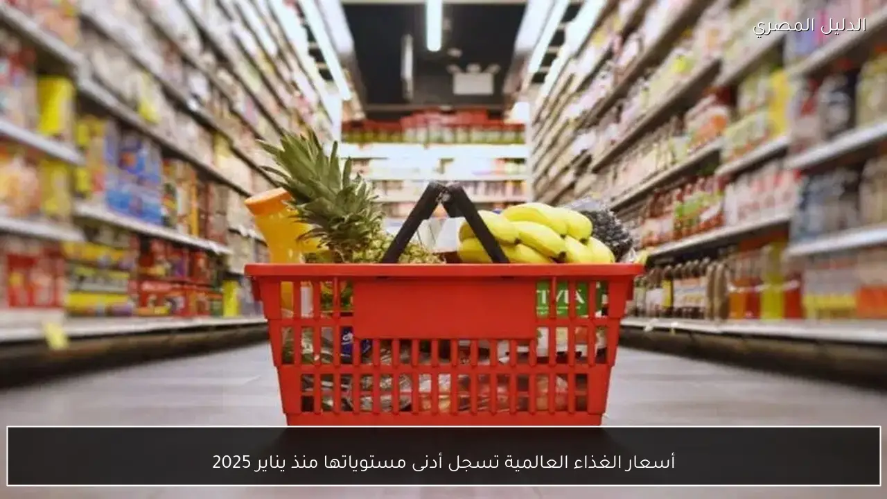 أسعار الغذاء العالمية تسجل أدنى مستوياتها منذ يناير 2025