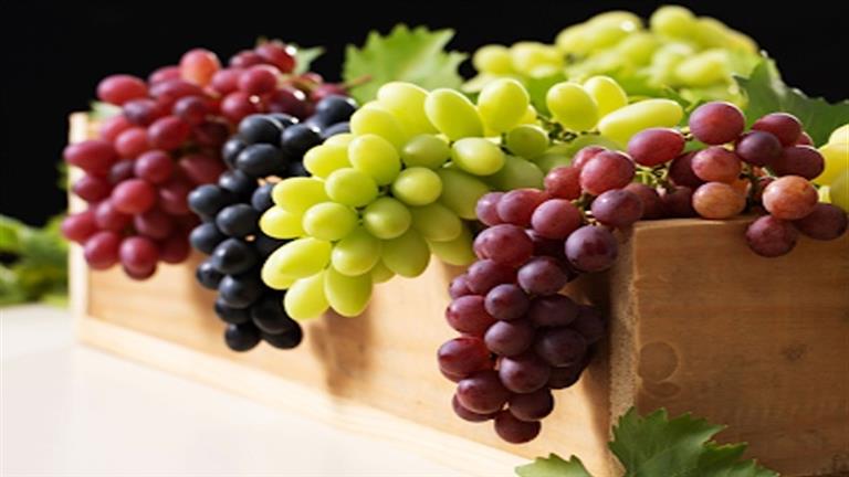 سعر الفاكهة اليوم، الدليل المصري