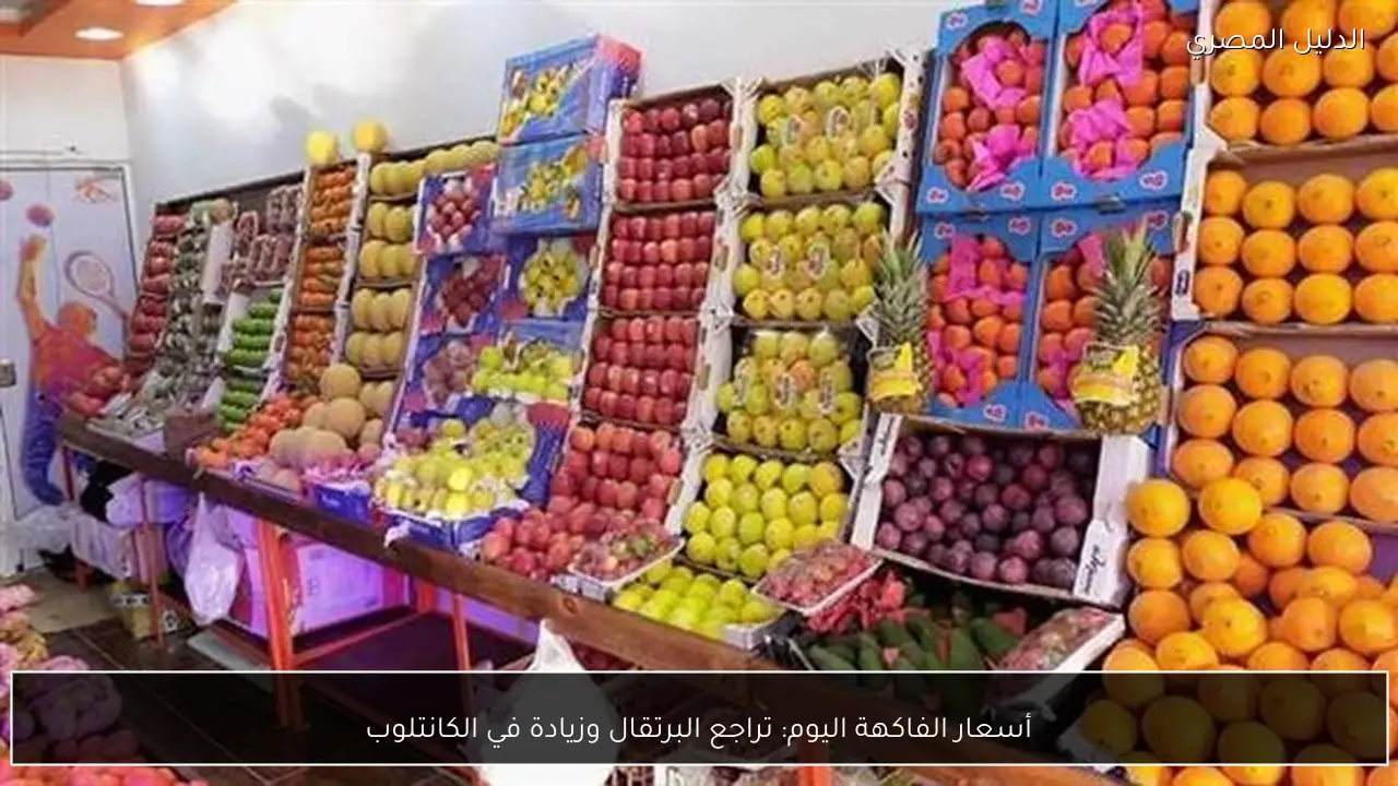 أسعار الفاكهة اليوم: تراجع البرتقال وزيادة في الكانتلوب