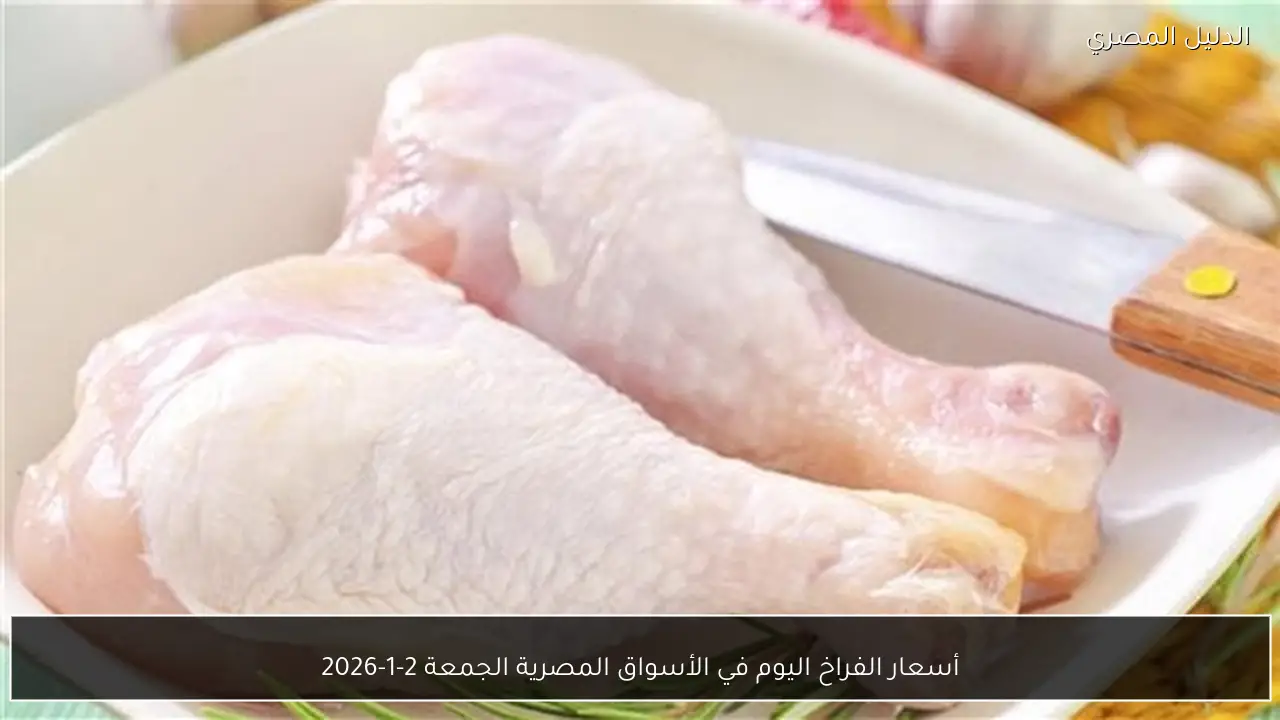 أسعار الفراخ اليوم في الأسواق المصرية الجمعة 2-1-2026