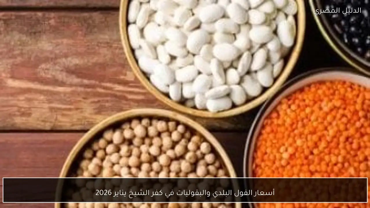 أسعار الفول البلدي والبقوليات في كفر الشيخ يناير 2026