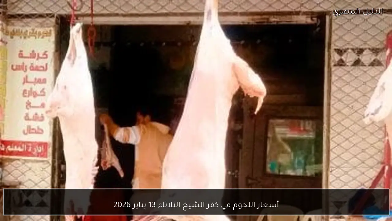 أسعار اللحوم في كفر الشيخ الثلاثاء 13 يناير 2026