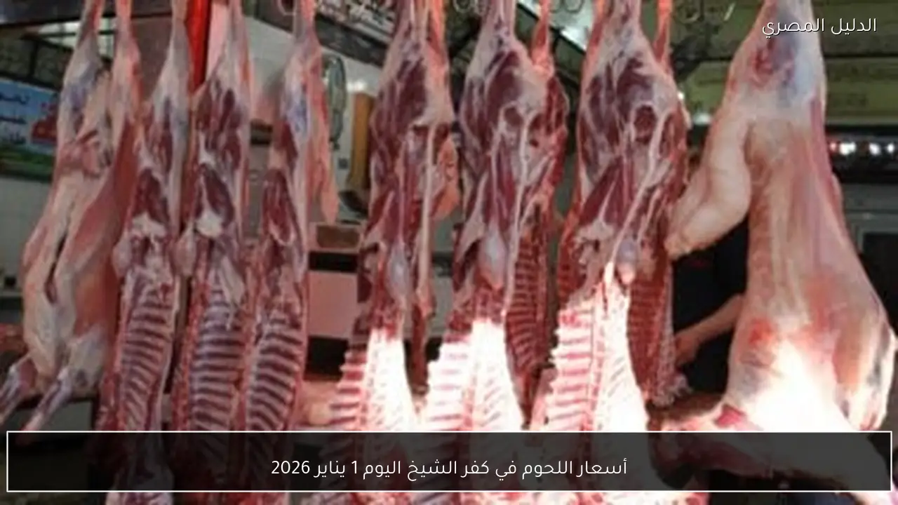 أسعار اللحوم في كفر الشيخ اليوم 1 يناير 2026