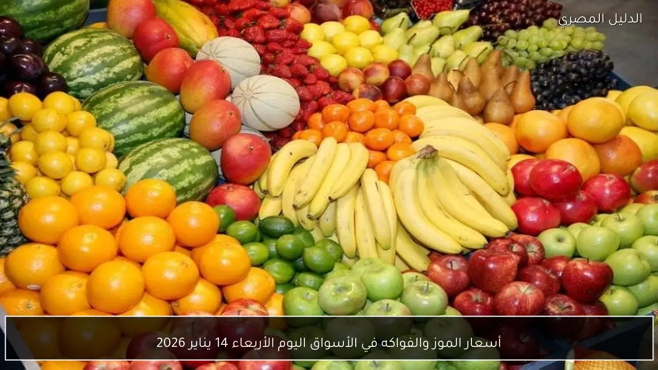 أسعار الموز والفواكه في الأسواق اليوم الأربعاء 14 يناير 2026