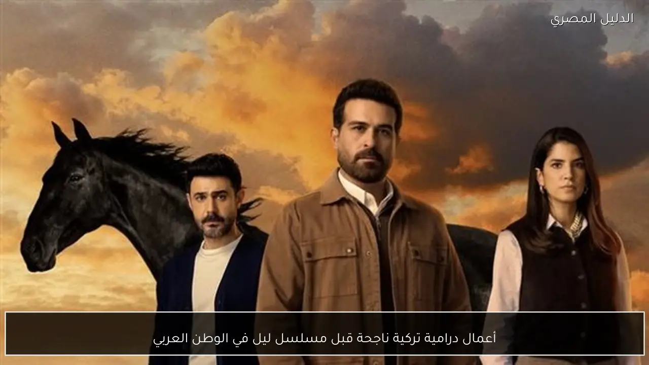 أعمال درامية تركية ناجحة قبل مسلسل ليل في الوطن العربي