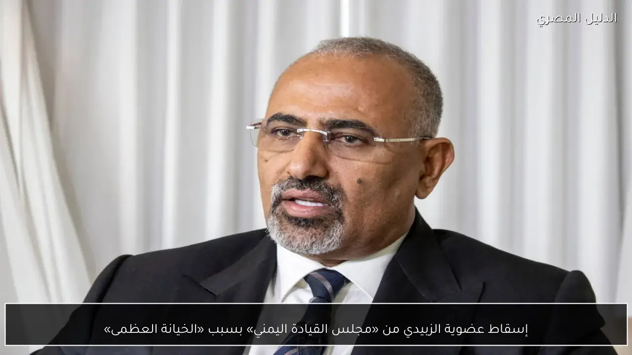 إسقاط عضوية الزبيدي من «مجلس القيادة اليمني» بسبب «الخيانة العظمى»