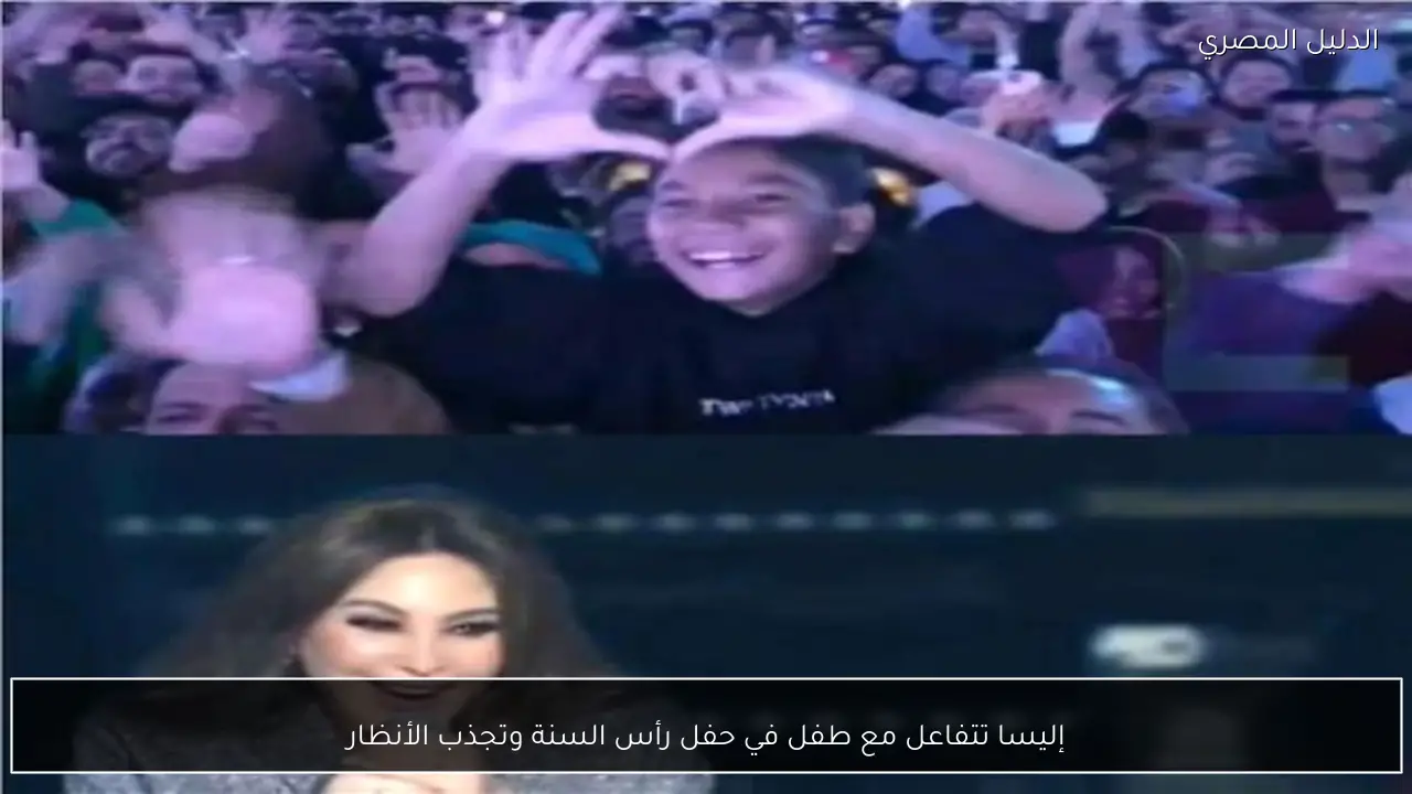 إليسا تتفاعل مع طفل في حفل رأس السنة وتجذب الأنظار