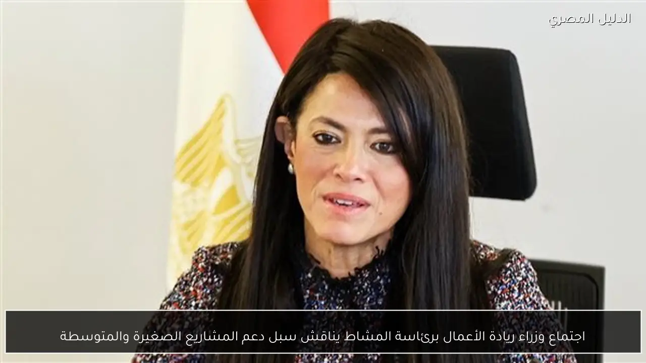 اجتماع وزراء ريادة الأعمال برئاسة المشاط يناقش سبل دعم المشاريع الصغيرة والمتوسطة