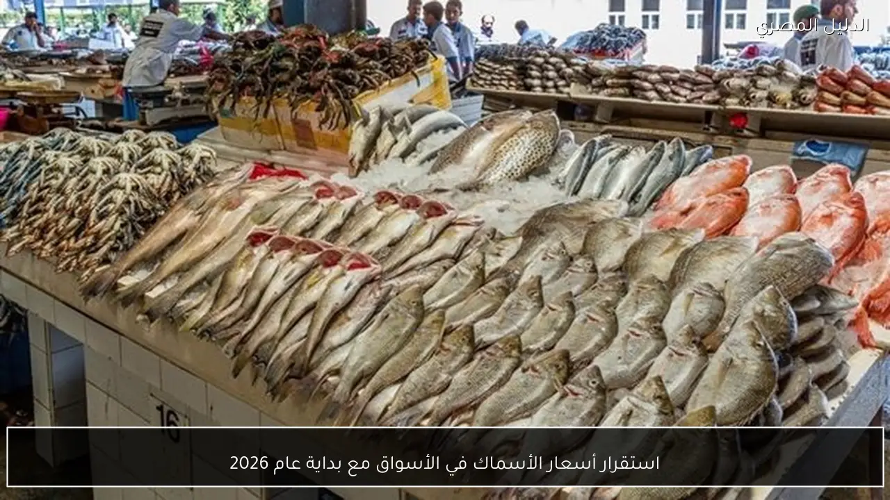 استقرار أسعار الأسماك في الأسواق مع بداية عام 2026
