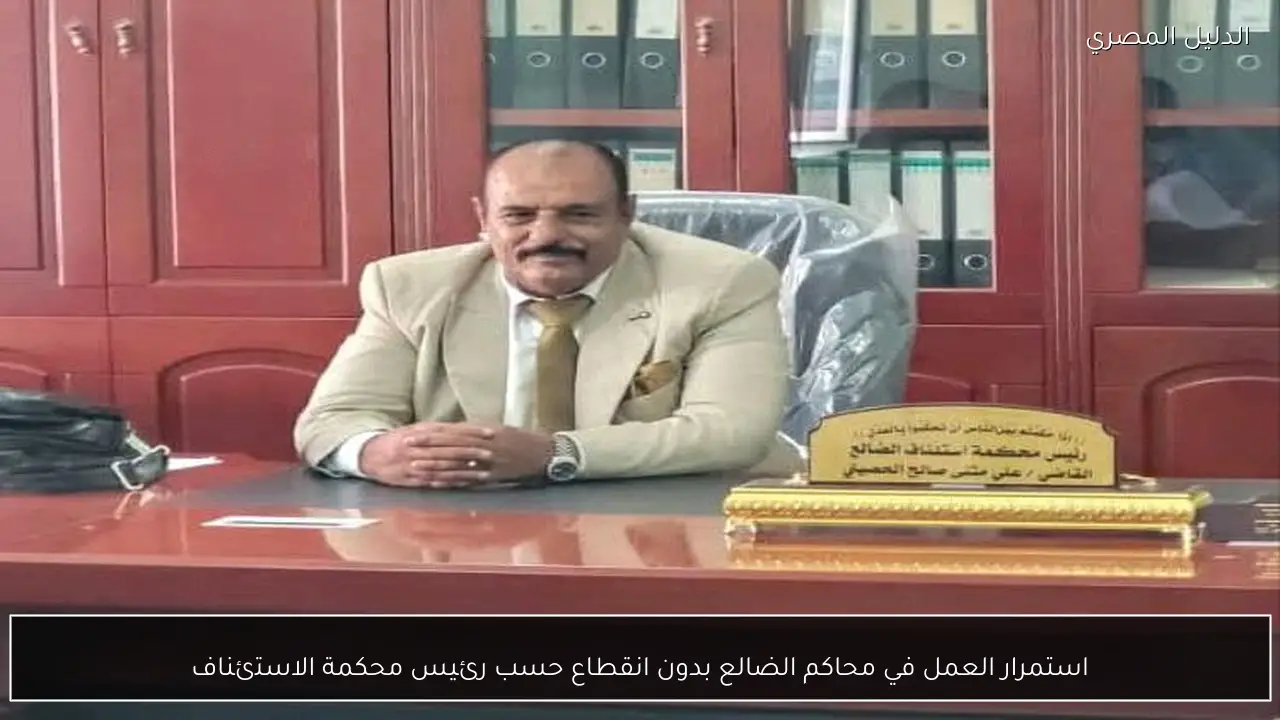 استمرار العمل في محاكم الضالع بدون انقطاع حسب رئيس محكمة الاستئناف