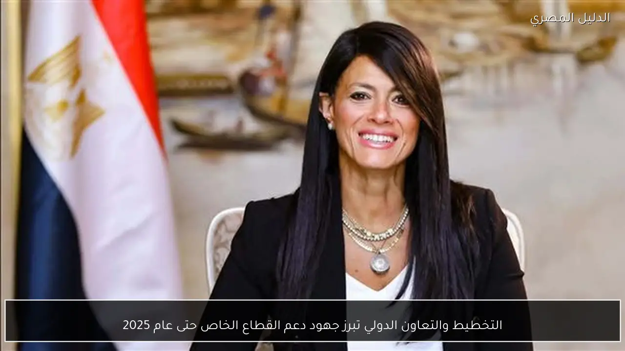 التخطيط والتعاون الدولي تبرز جهود دعم القطاع الخاص حتى عام 2025