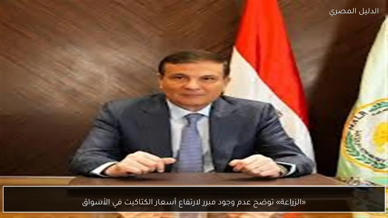 «الزراعة» توضح عدم وجود مبرر لارتفاع أسعار الكتاكيت في الأسواق