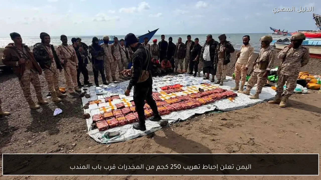 اليمن تعلن إحباط تهريب 250 كجم من المخدرات قرب باب المندب