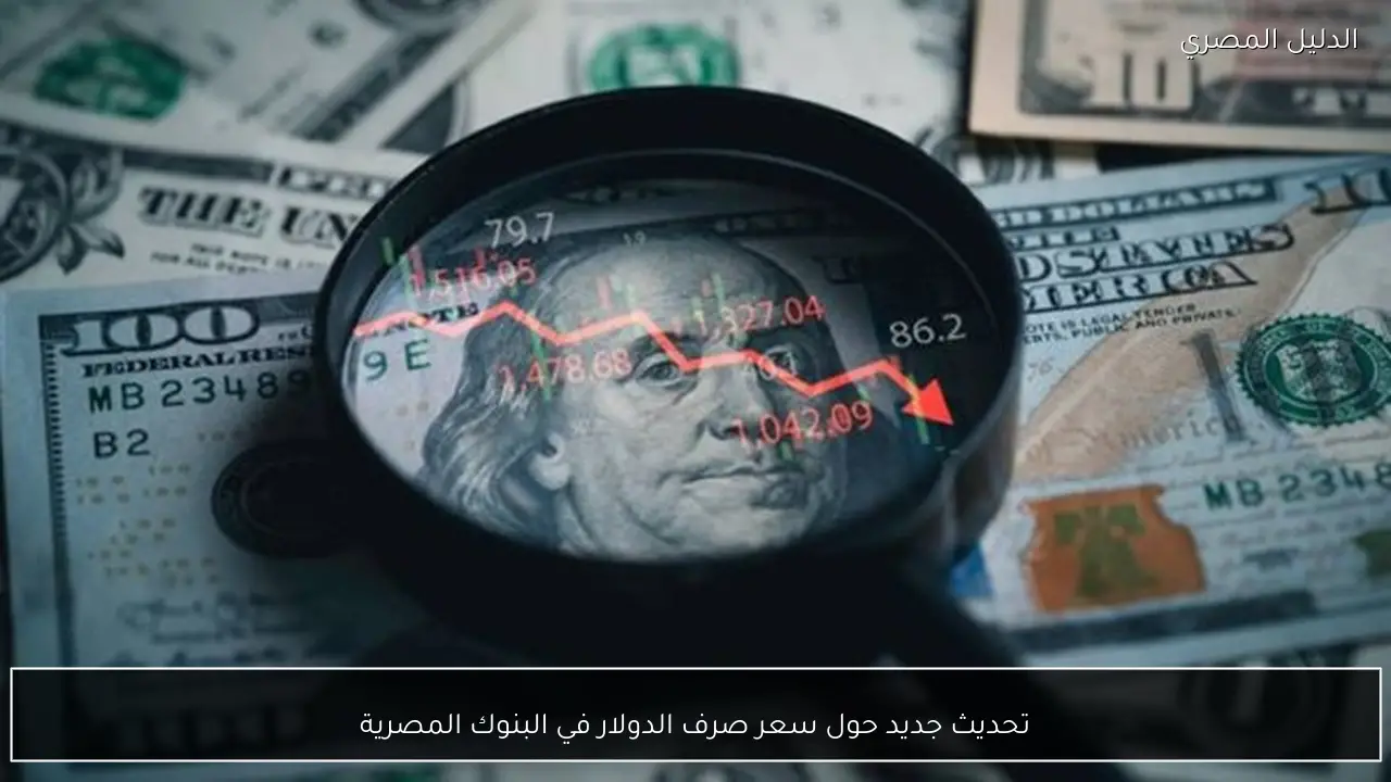تحديث جديد حول سعر صرف الدولار في البنوك المصرية