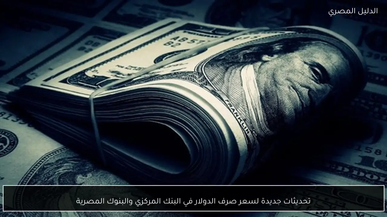 تحديثات جديدة لسعر صرف الدولار في البنك المركزي والبنوك المصرية