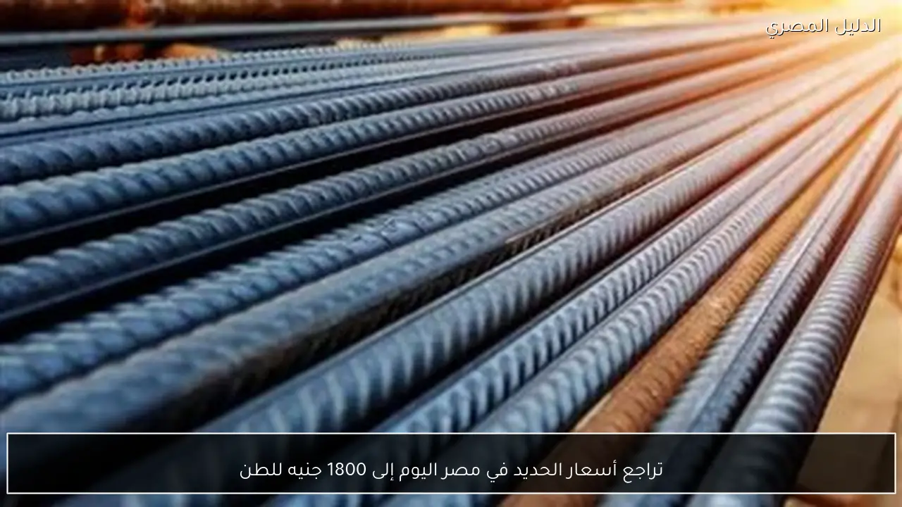 تراجع أسعار الحديد في مصر اليوم إلى 1800 جنيه للطن