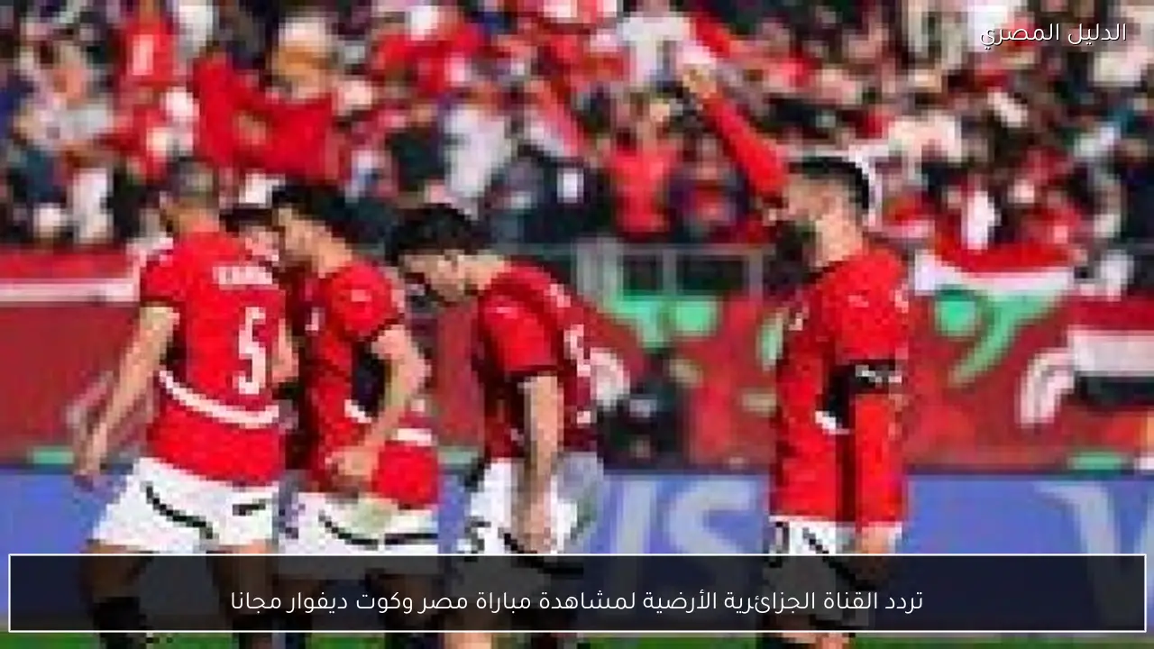 تردد القناة الجزائرية الأرضية لمشاهدة مباراة مصر وكوت ديفوار مجانا