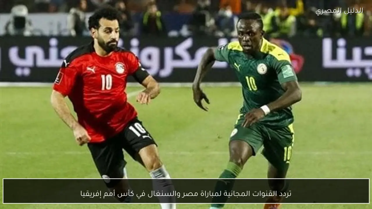 تردد القنوات المجانية لمباراة مصر والسنغال في كأس أمم إفريقيا