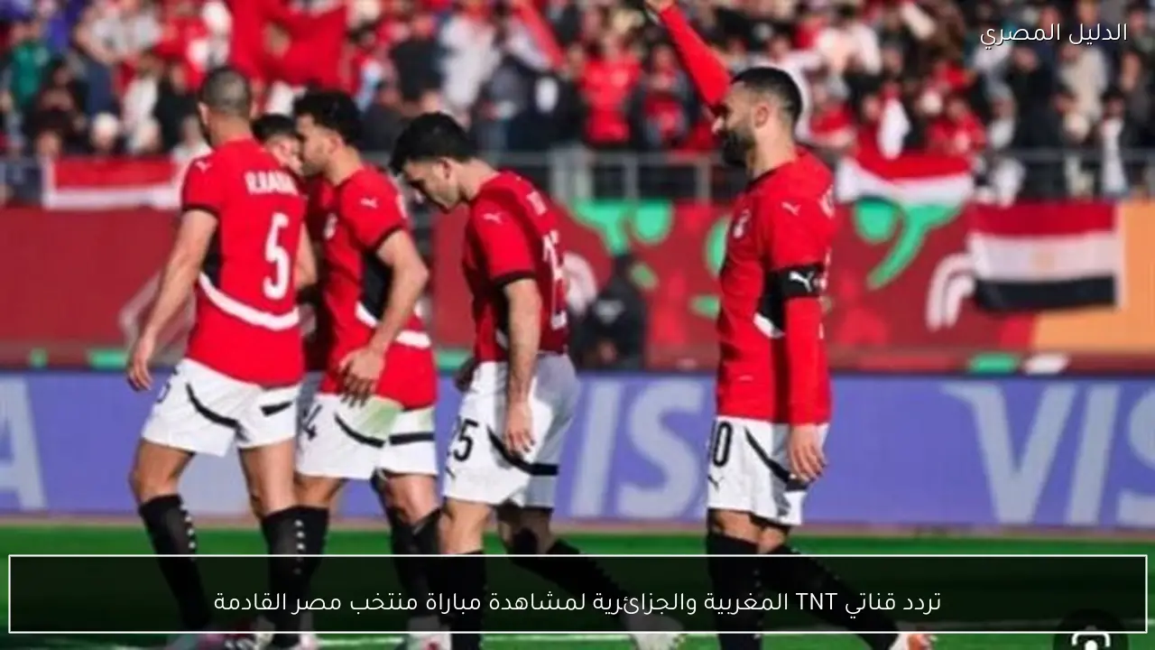 تردد قناتي TNT المغربية والجزائرية لمشاهدة مباراة منتخب مصر القادمة