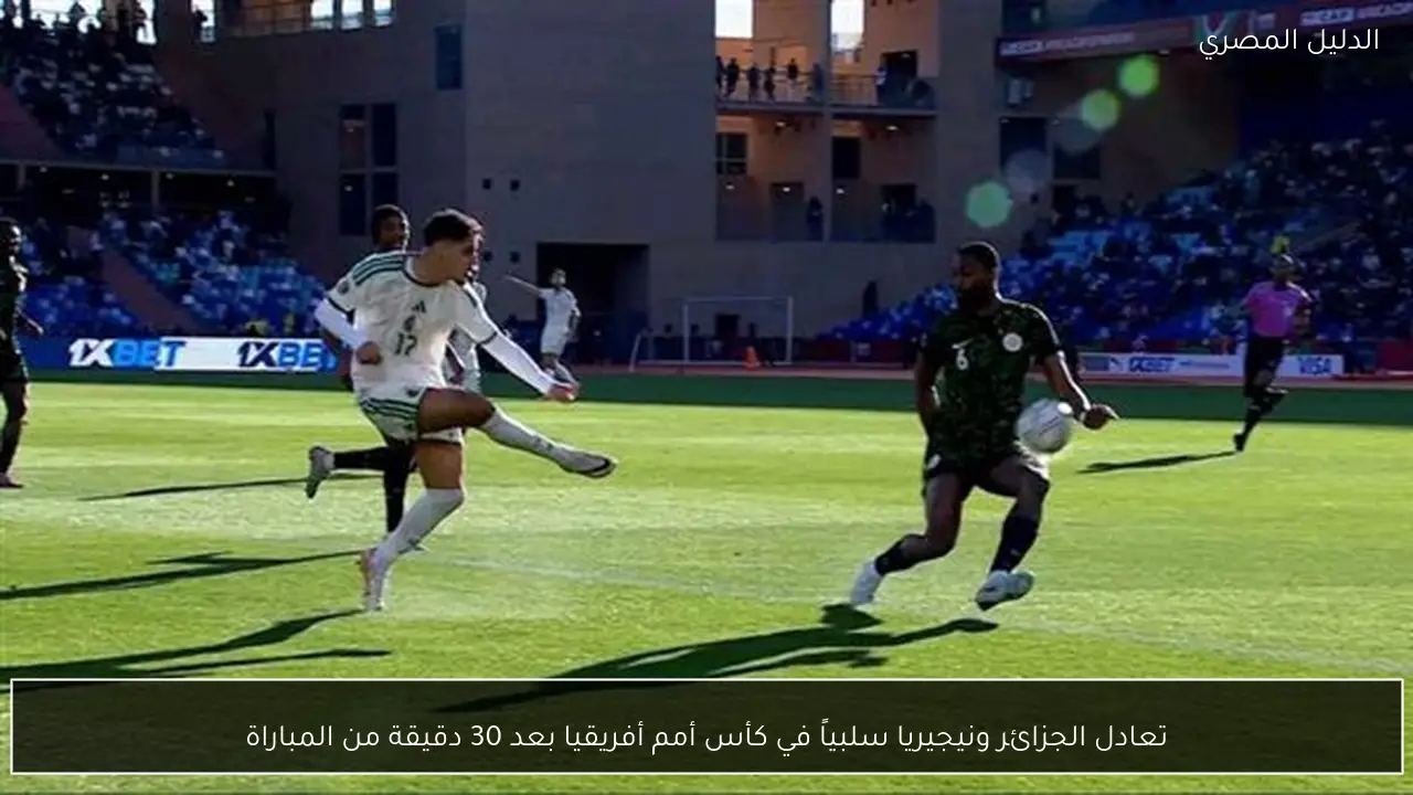 تعادل الجزائر ونيجيريا سلبياً في كأس أمم أفريقيا بعد 30 دقيقة من المباراة