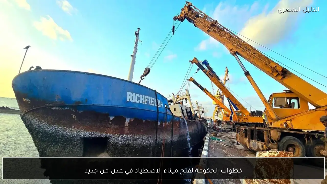 خطوات الحكومة لفتح ميناء الاصطياد في عدن من جديد