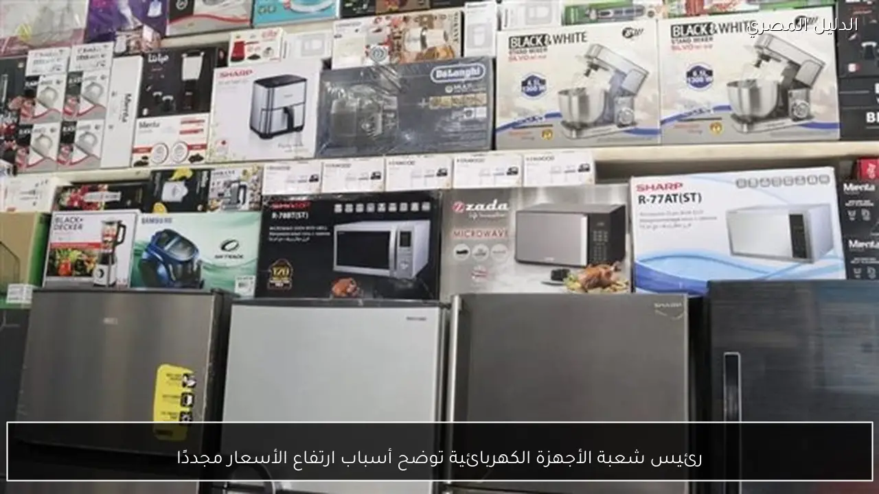 رئيس شعبة الأجهزة الكهربائية توضح أسباب ارتفاع الأسعار مجددًا