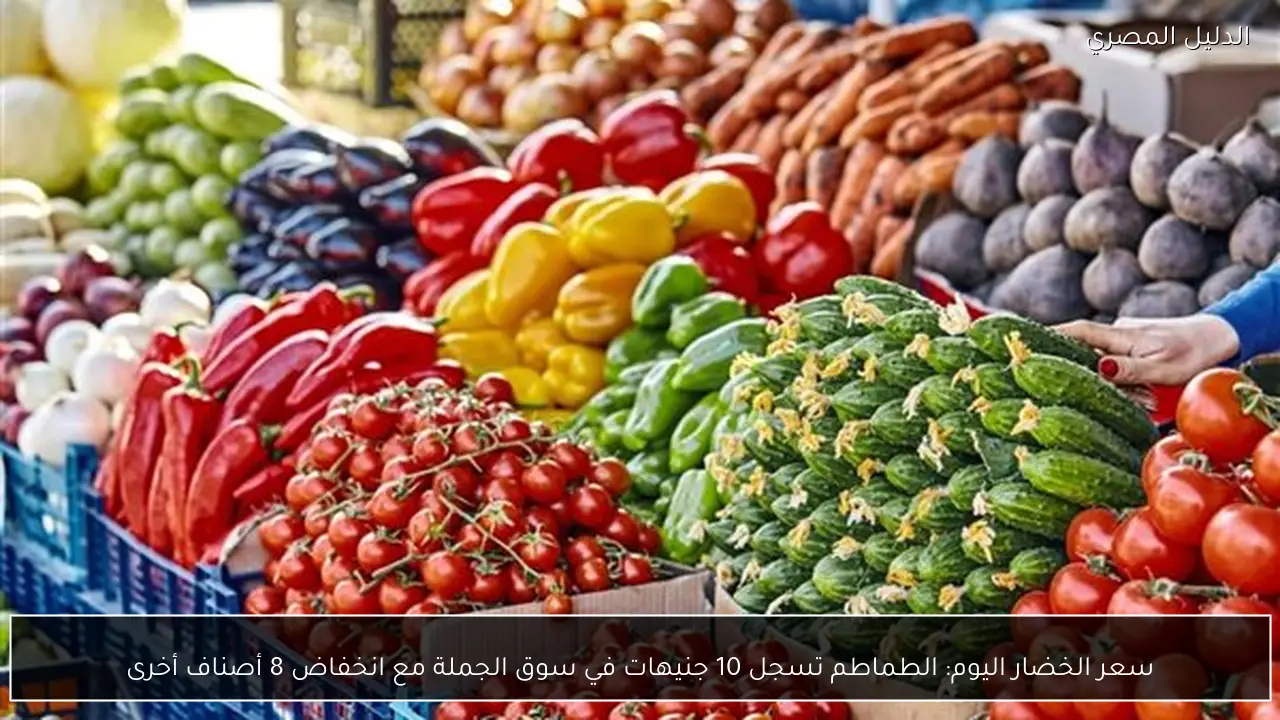 سعر الخضار اليوم: الطماطم تسجل 10 جنيهات في سوق الجملة مع انخفاض 8 أصناف أخرى