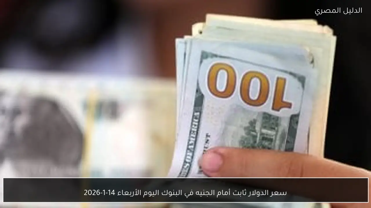 سعر الدولار ثابت أمام الجنيه في البنوك اليوم الأربعاء 14-1-2026