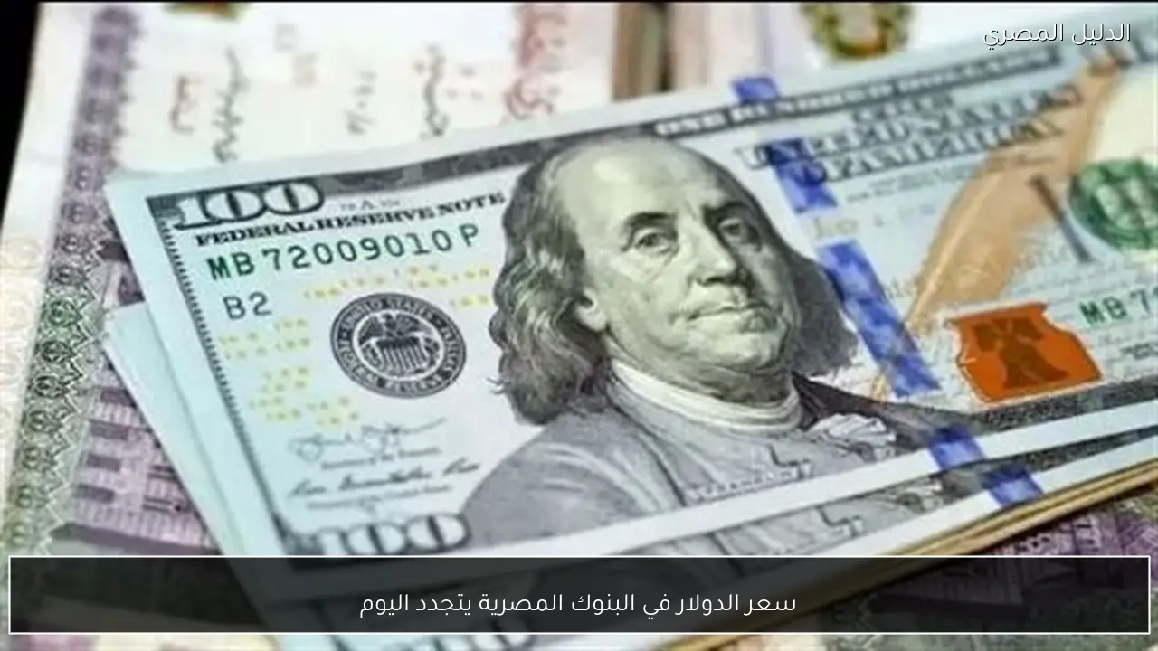 سعر الدولار في البنوك المصرية يتجدد اليوم