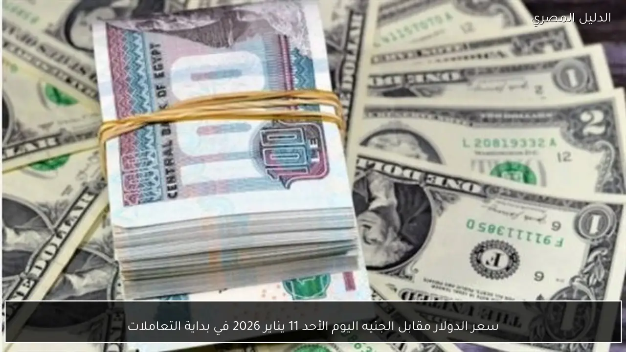 سعر الدولار مقابل الجنيه اليوم الأحد 11 يناير 2026 في بداية التعاملات