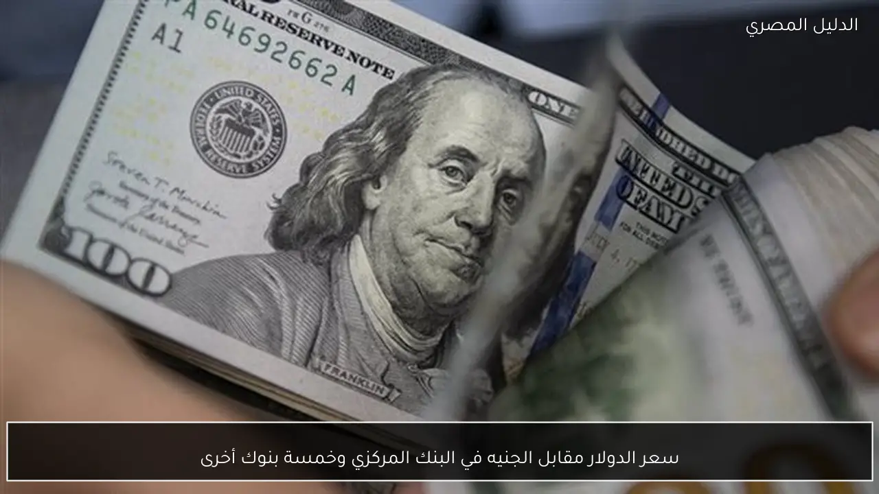 سعر الدولار مقابل الجنيه في البنك المركزي وخمسة بنوك أخرى
