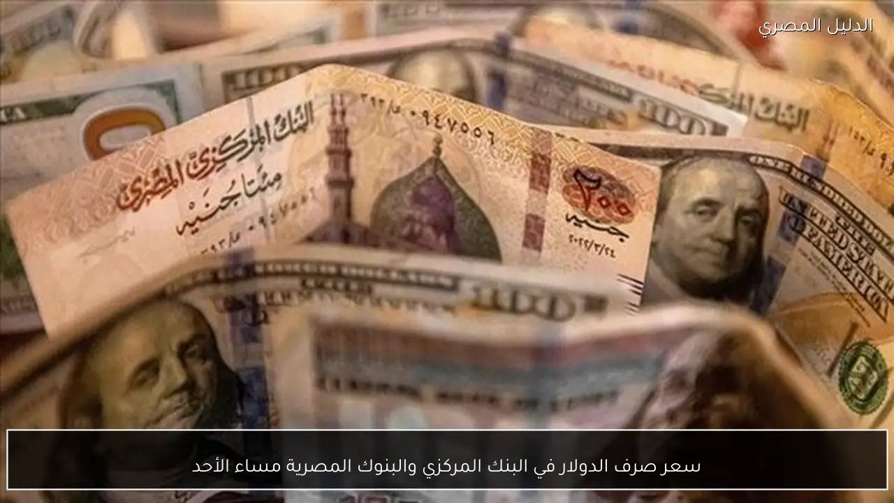 سعر صرف الدولار في البنك المركزي والبنوك المصرية مساء الأحد