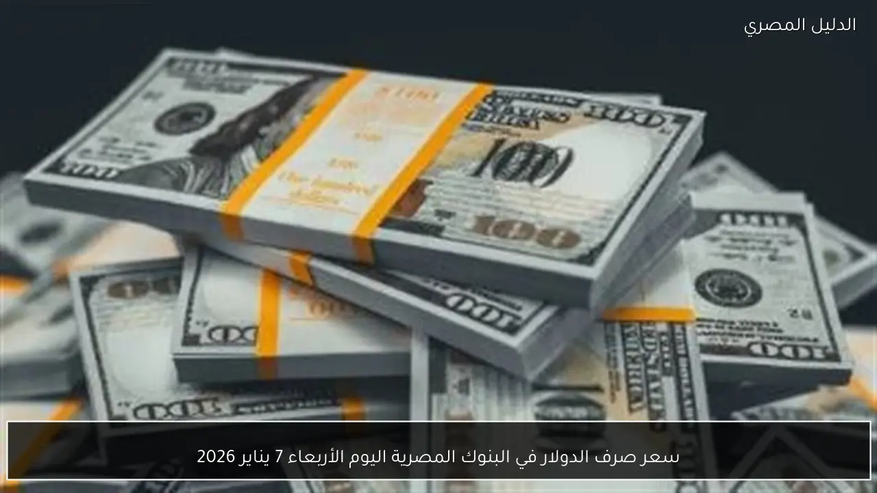 سعر صرف الدولار في البنوك المصرية اليوم الأربعاء 7 يناير 2026