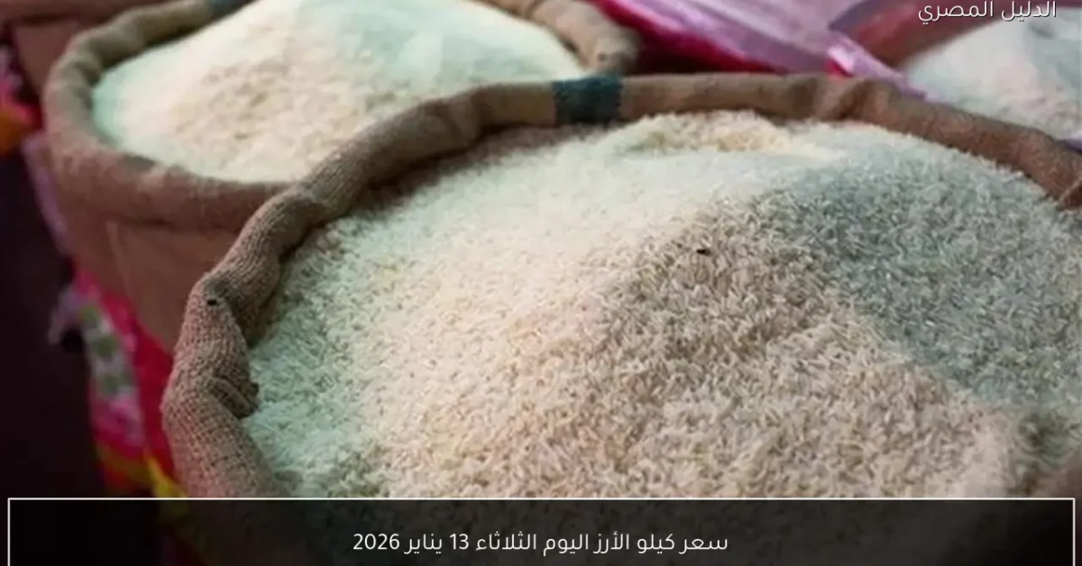 سعر كيلو الأرز اليوم الثلاثاء 13 يناير 2026