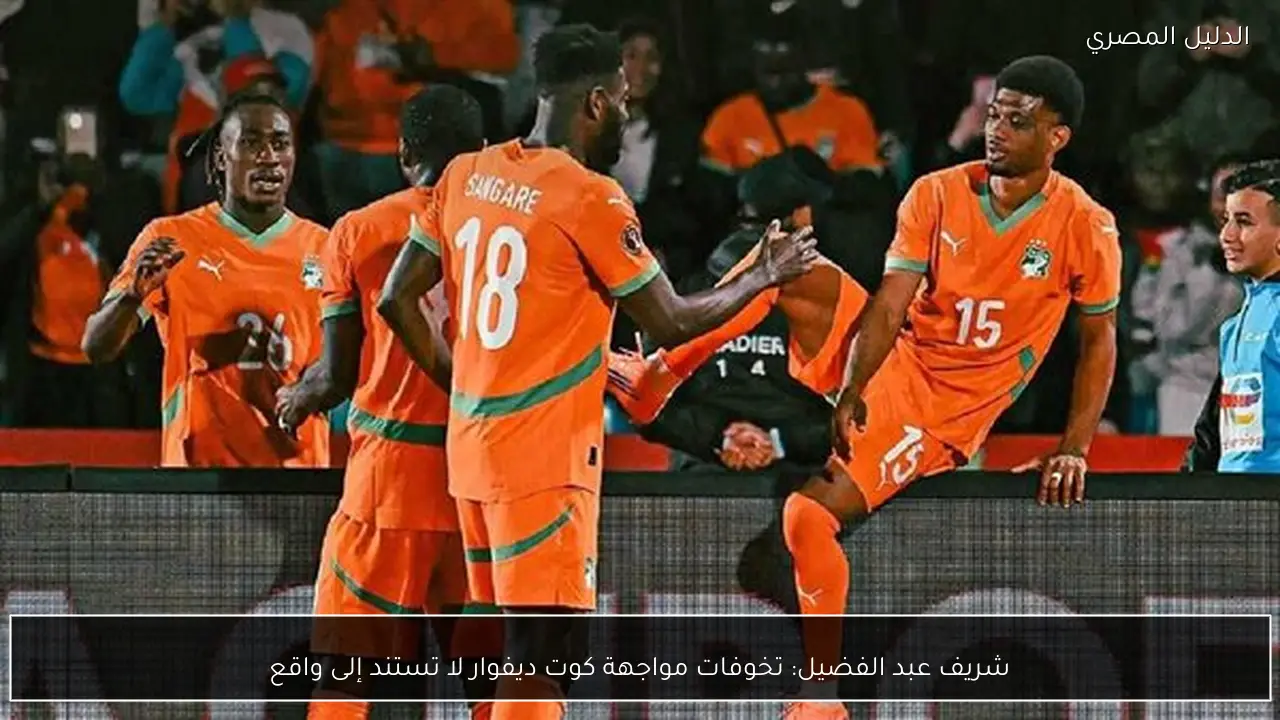 شريف عبد الفضيل: تخوفات مواجهة كوت ديفوار لا تستند إلى واقع