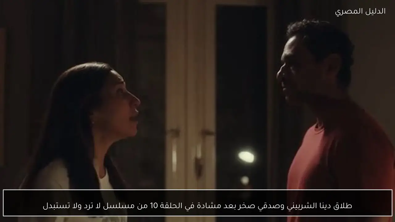 طلاق دينا الشربيني وصدقي صخر بعد مشادة في الحلقة 10 من مسلسل لا ترد ولا تستبدل