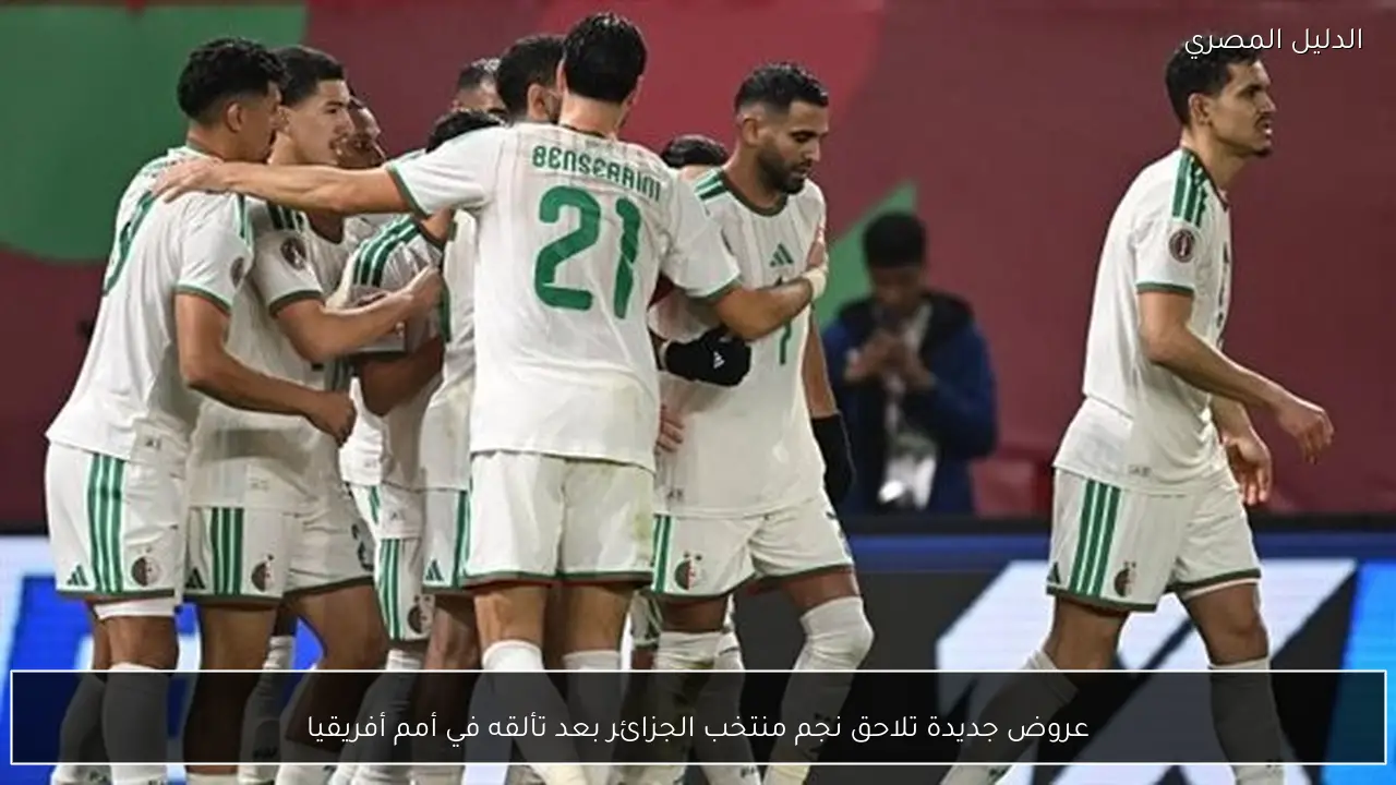 عروض جديدة تلاحق نجم منتخب الجزائر بعد تألقه في أمم أفريقيا
