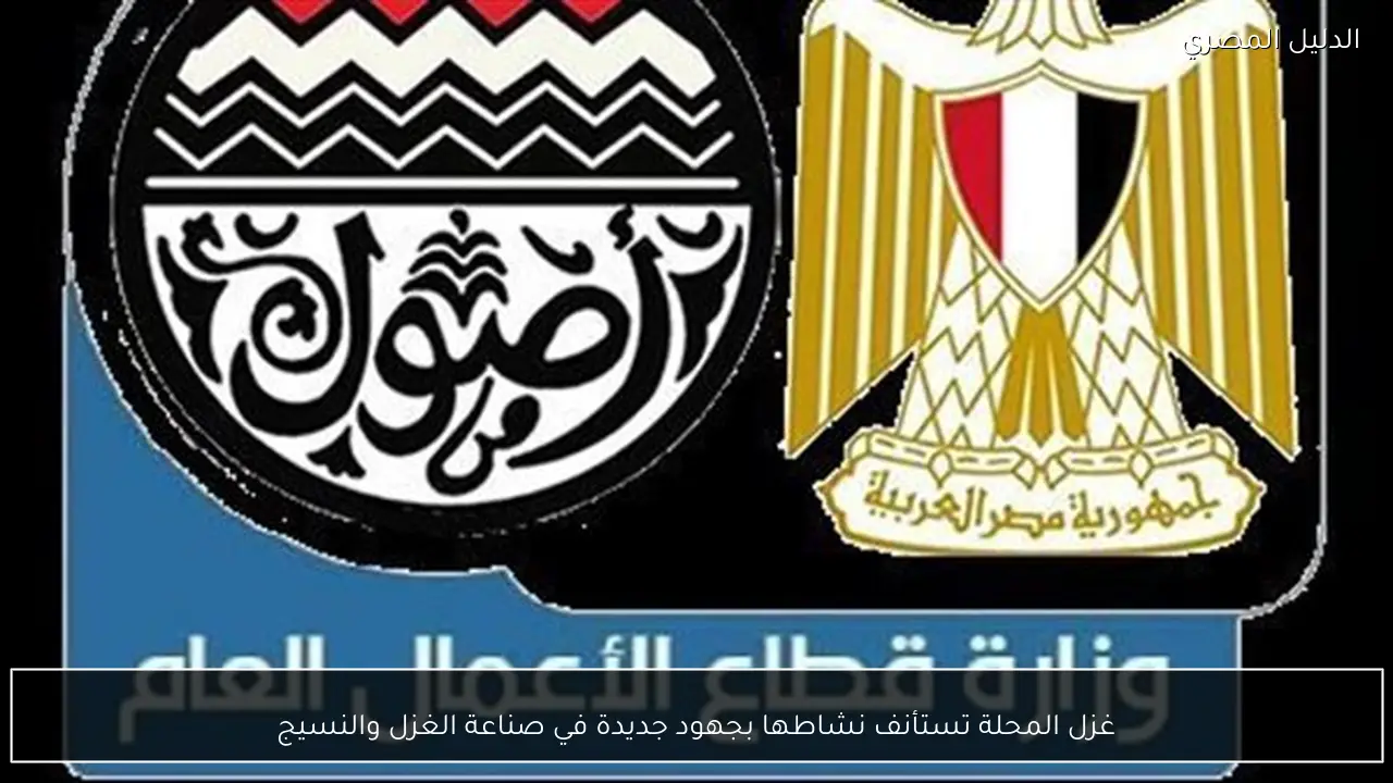 غزل المحلة تستأنف نشاطها بجهود جديدة في صناعة الغزل والنسيج