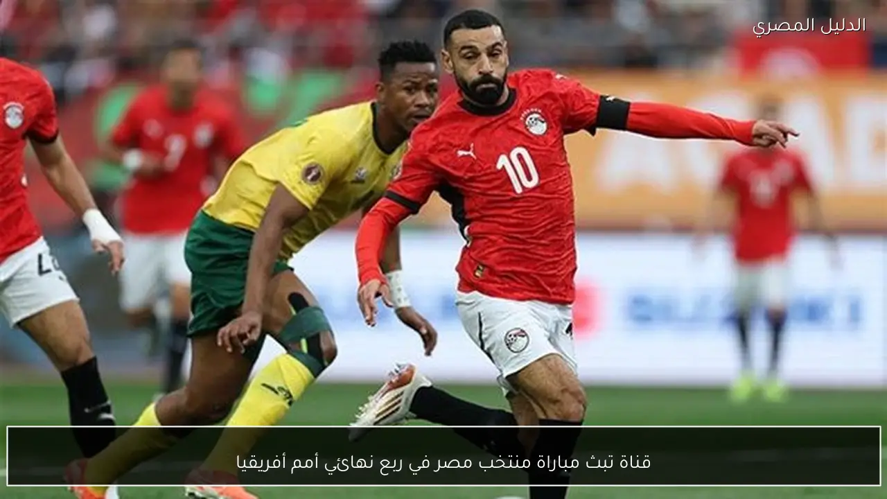 قناة تبث مباراة منتخب مصر في ربع نهائي أمم أفريقيا