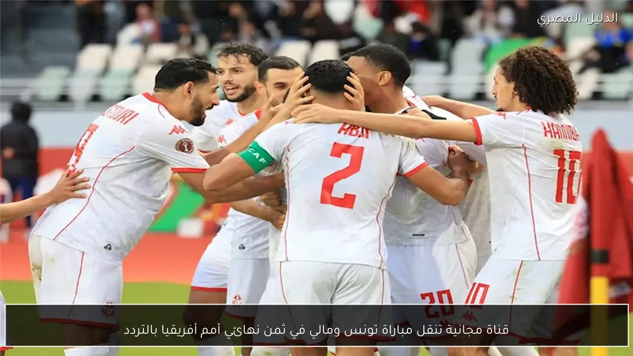 قناة مجانية تنقل مباراة تونس ومالي في ثمن نهائي أمم أفريقيا بالتردد