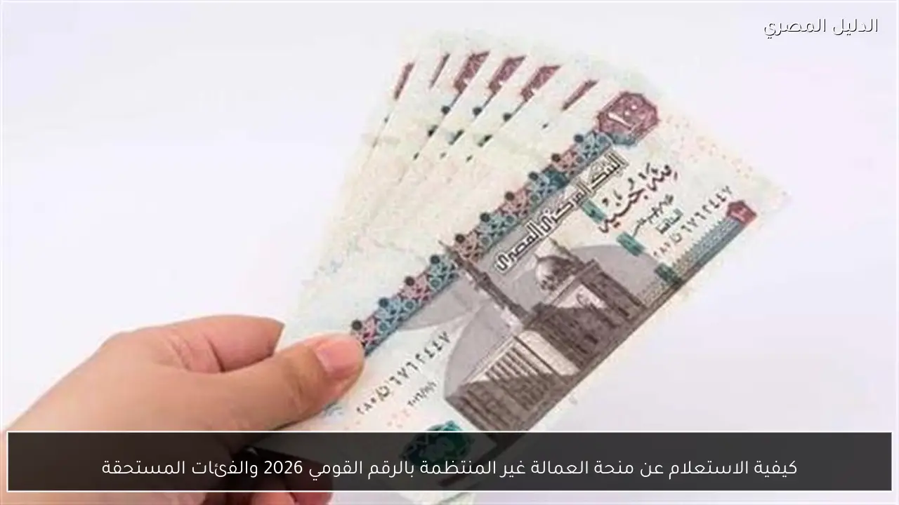 كيفية الاستعلام عن منحة العمالة غير المنتظمة بالرقم القومي 2026 والفئات المستحقة