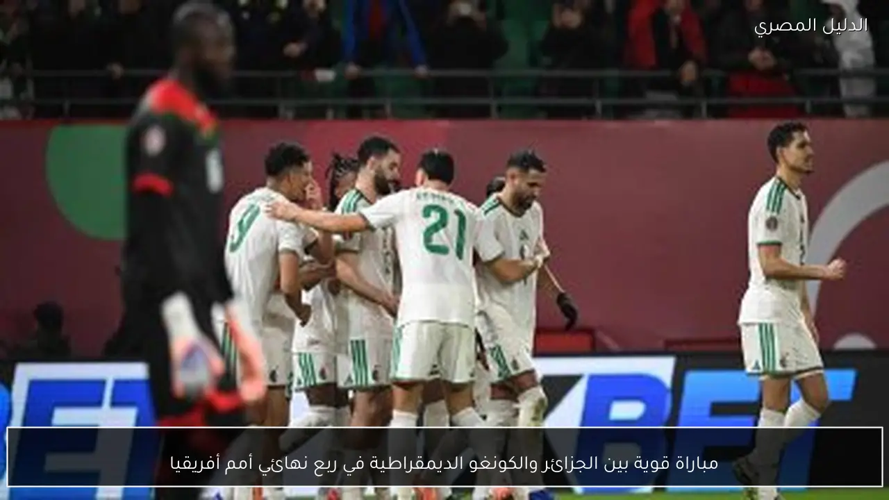 مباراة قوية بين الجزائر والكونغو الديمقراطية في ربع نهائي أمم أفريقيا