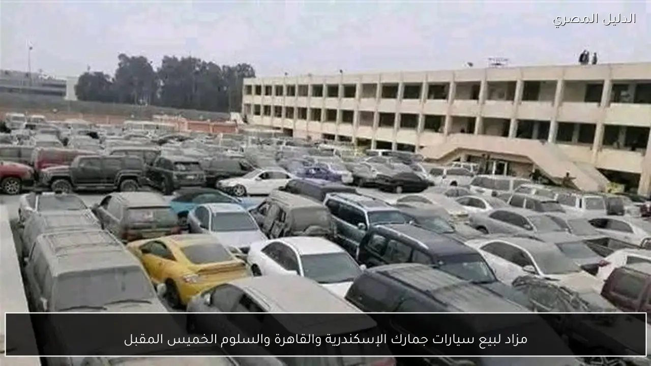 مزاد لبيع سيارات جمارك الإسكندرية والقاهرة والسلوم الخميس المقبل
