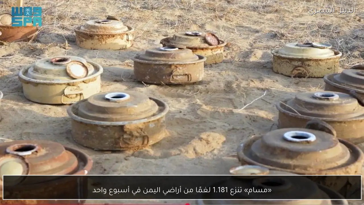 «مسام» تنزع 1.181 لغمًا من أراضي اليمن في أسبوع واحد