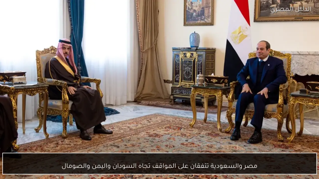 مصر والسعودية تتفقان على المواقف تجاه السودان واليمن والصومال