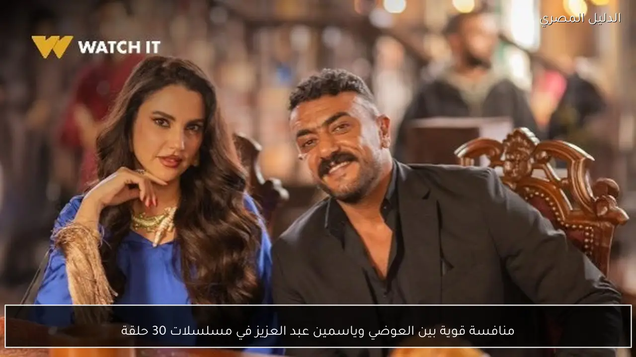 منافسة قوية بين العوضي وياسمين عبد العزيز في مسلسلات 30 حلقة