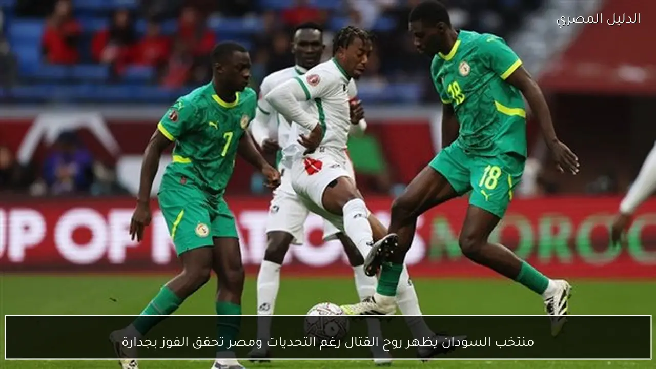 منتخب السودان يظهر روح القتال رغم التحديات ومصر تحقق الفوز بجدارة