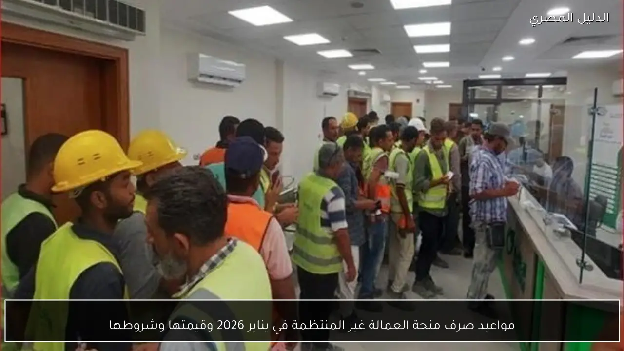 مواعيد صرف منحة العمالة غير المنتظمة في يناير 2026 وقيمتها وشروطها